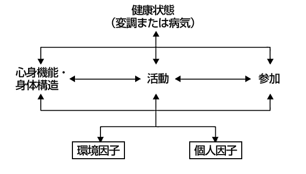 ICFの構成要素間の相互作用