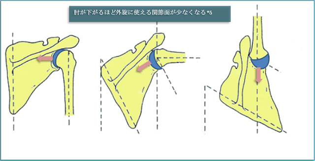 図　肩関節の外転角度による外旋制限