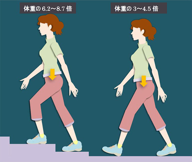 図　階段と歩行時の股関節の負担