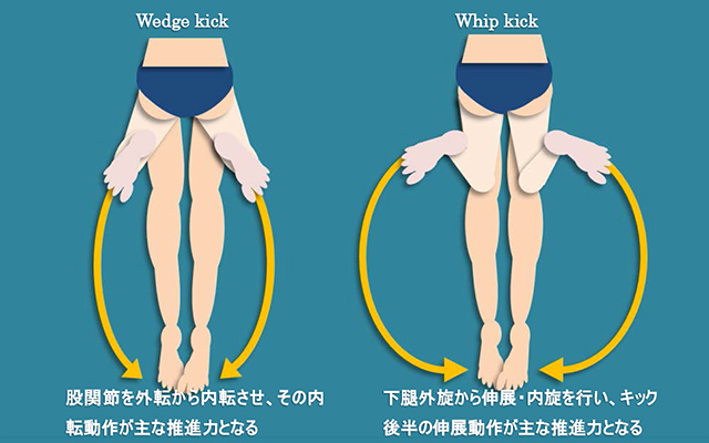 図　ウェッジキックとウィップキック